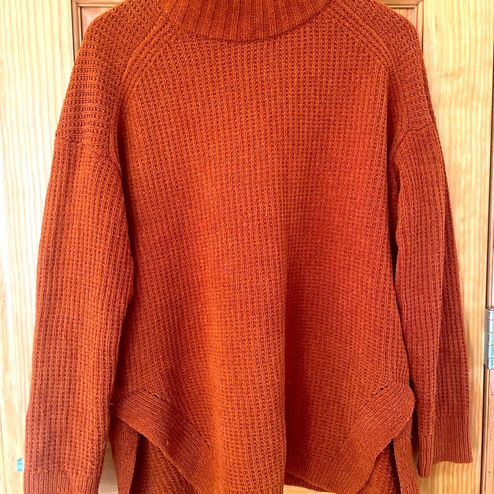 Burnt orange tunic, a new day, size LG